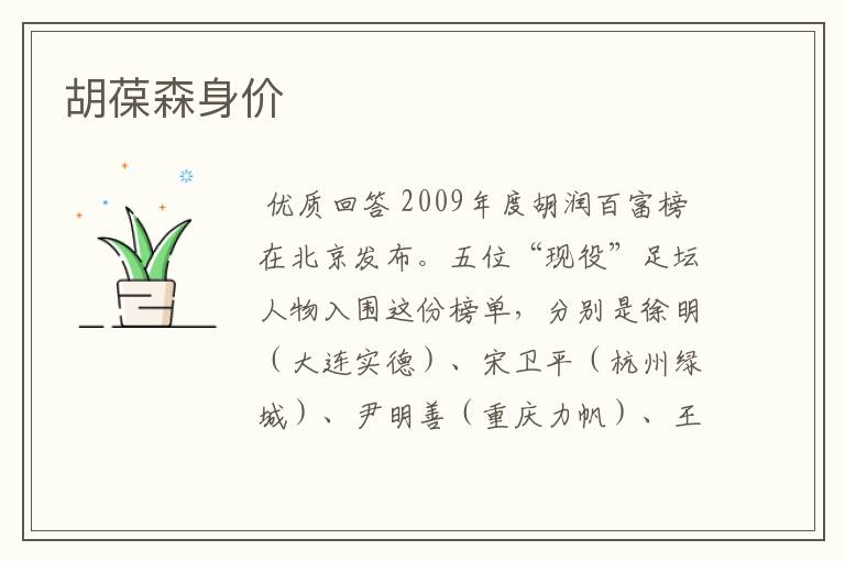 胡葆森身价
