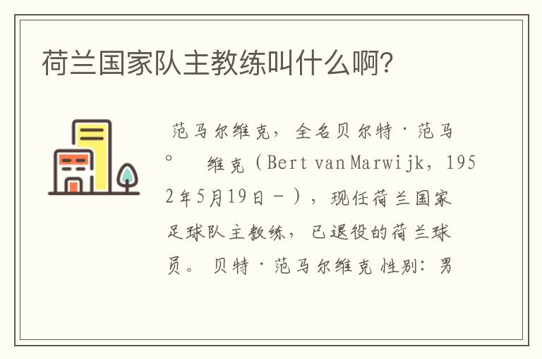 荷兰国家队主教练叫什么啊?