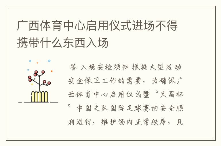 广西体育中心启用仪式进场不得携带什么东西入场