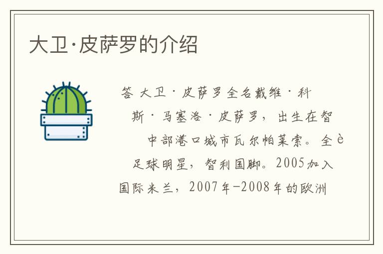 大卫·皮萨罗的介绍
