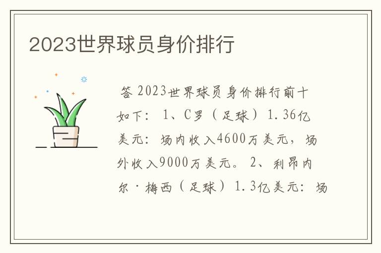 2023世界球员身价排行