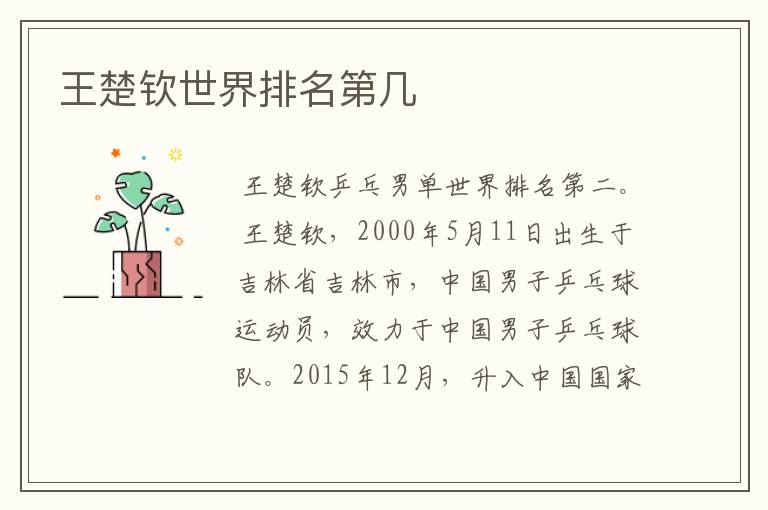 王楚钦世界排名第几