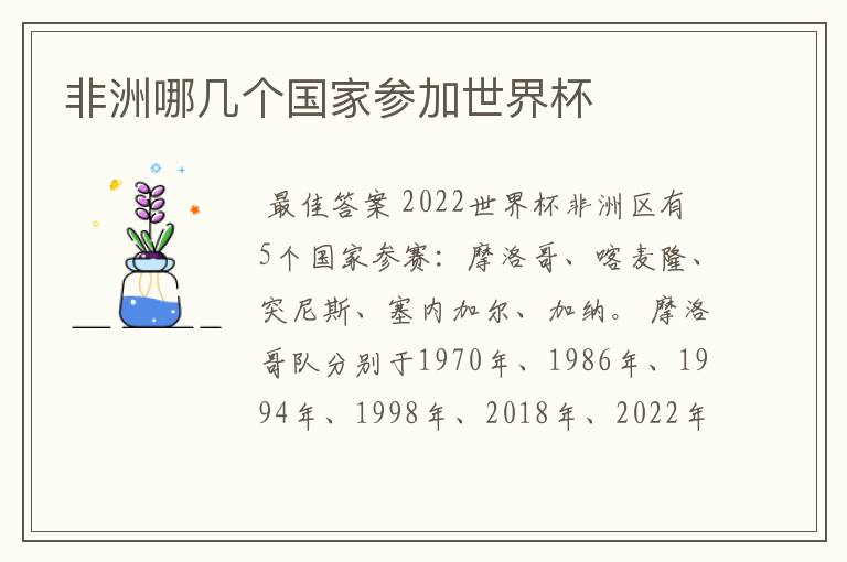 非洲哪几个国家参加世界杯