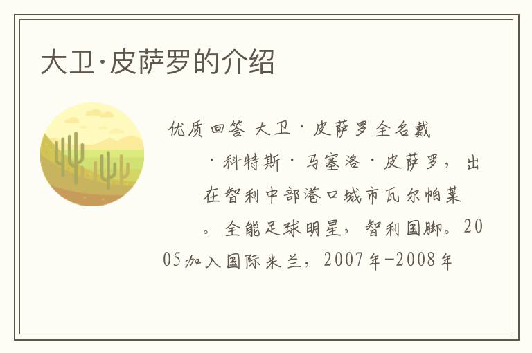 大卫·皮萨罗的介绍