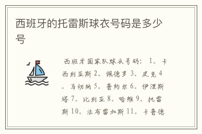 西班牙的托雷斯球衣号码是多少号