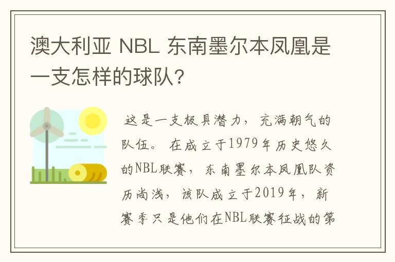 澳大利亚 NBL 东南墨尔本凤凰是一支怎样的球队?