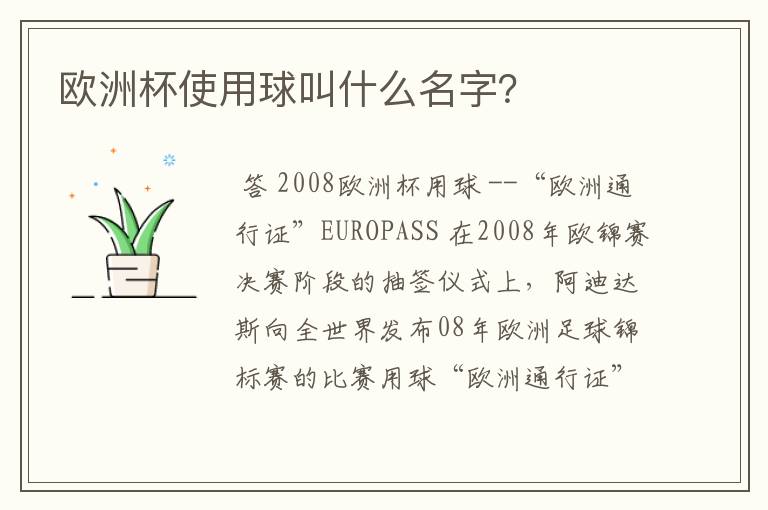 欧洲杯使用球叫什么名字?