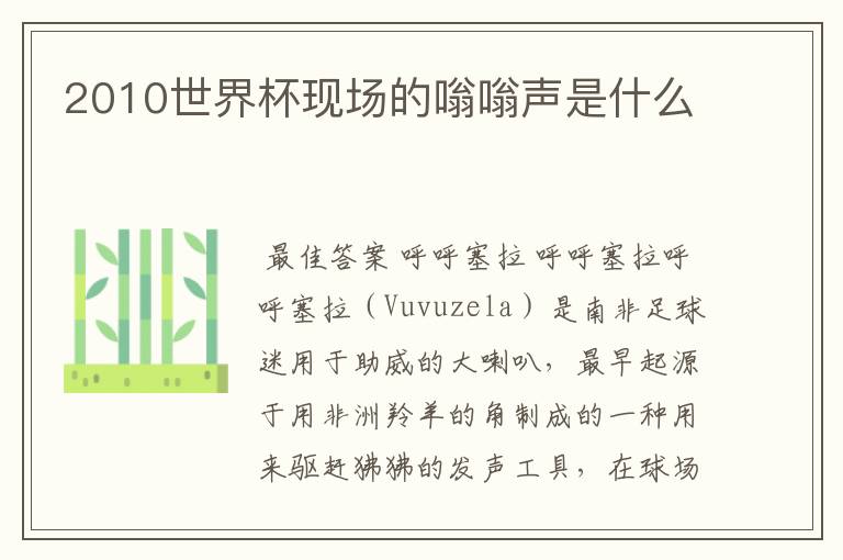2010世界杯现场的嗡嗡声是什么
