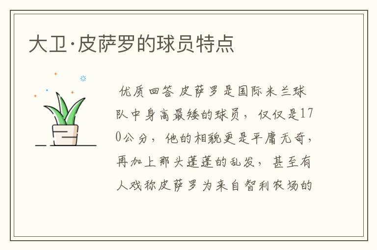 大卫·皮萨罗的球员特点