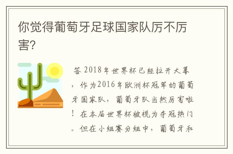 你觉得葡萄牙足球国家队厉不厉害?