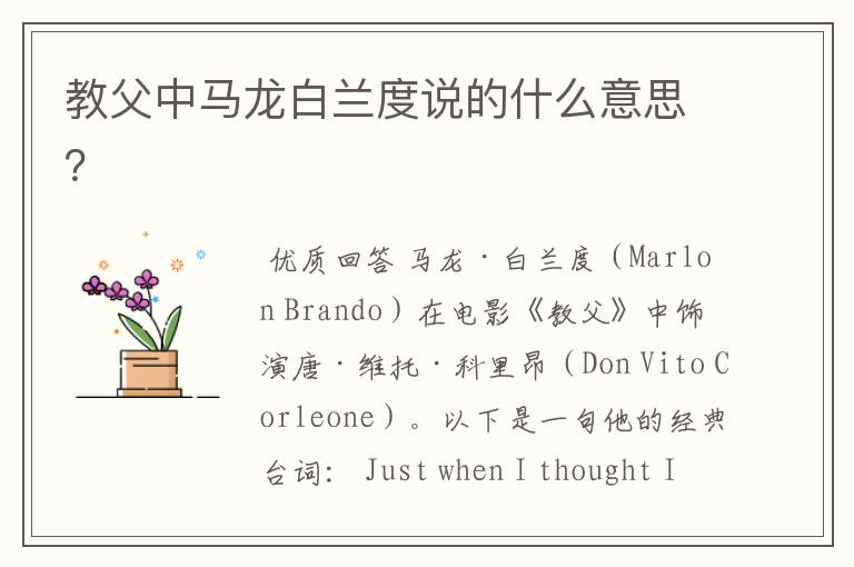 教父中马龙白兰度说的什么意思?