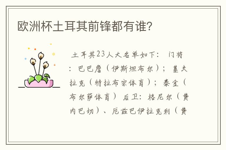 欧洲杯土耳其前锋都有谁?