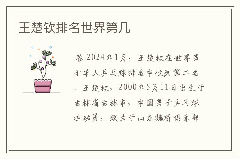 王楚钦排名世界第几