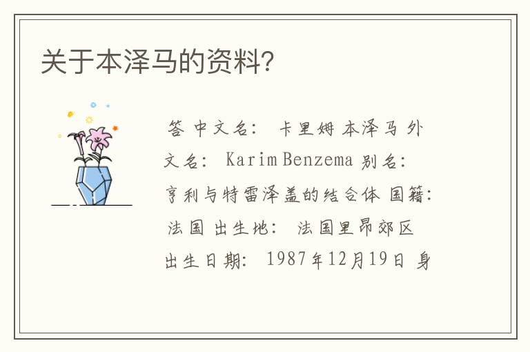 关于本泽马的资料?