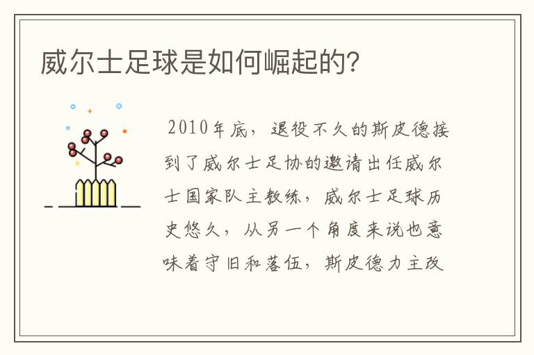 威尔士足球是如何崛起的?