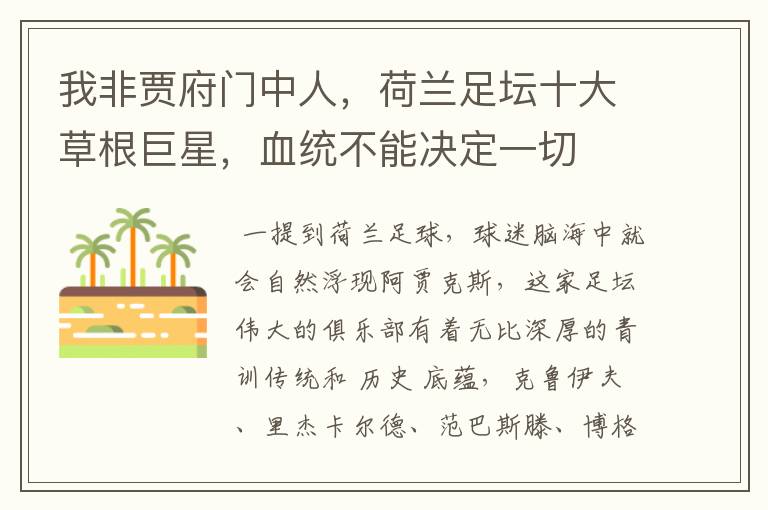 我非贾府门中人,荷兰足坛十大草根巨星,血统不能决定一切