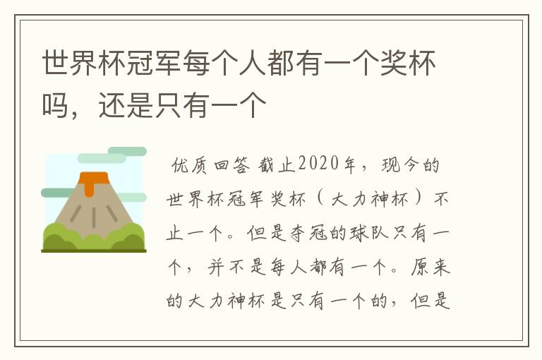 世界杯冠军每个人都有一个奖杯吗,还是只有一个