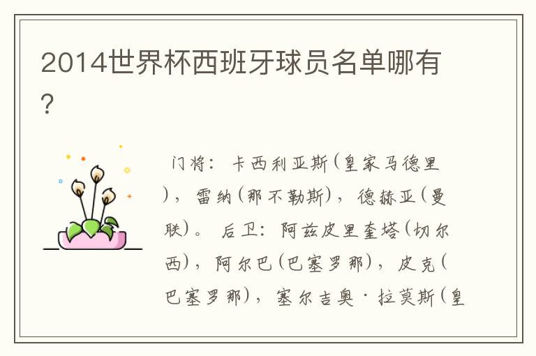 2014世界杯西班牙球员名单哪有?