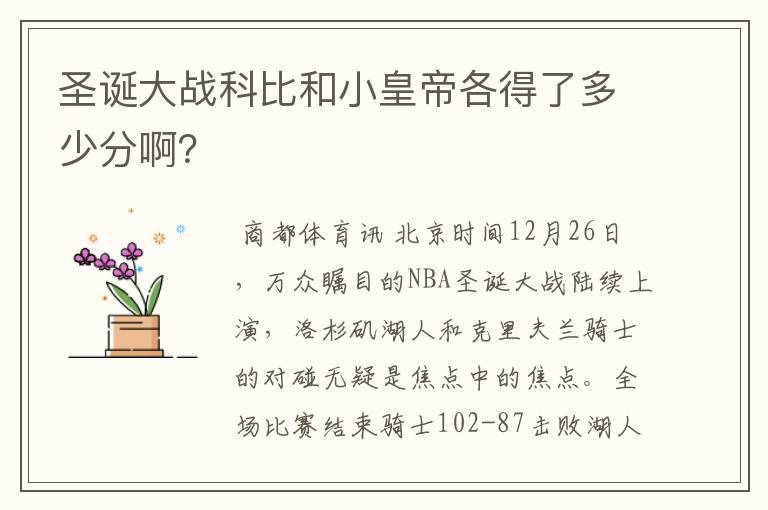 圣诞大战科比和小皇帝各得了多少分啊?