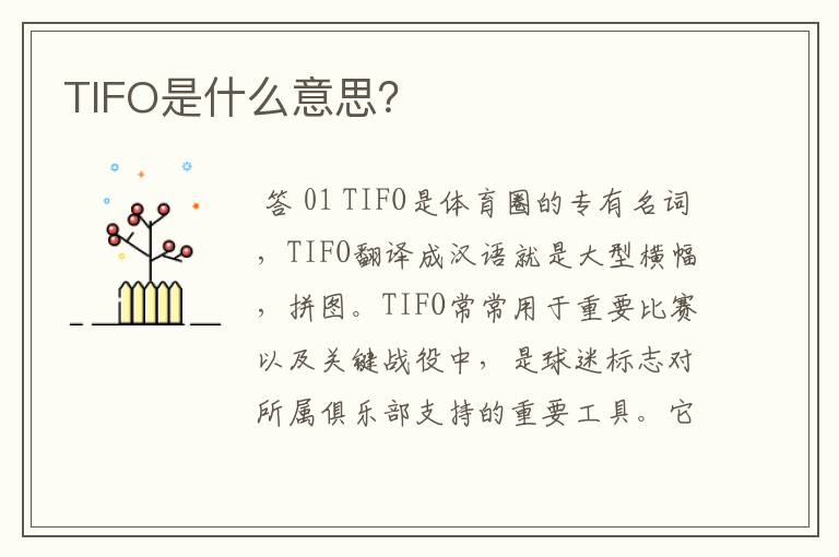 TIFO是什么意思?