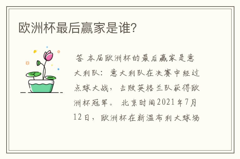欧洲杯最后赢家是谁?