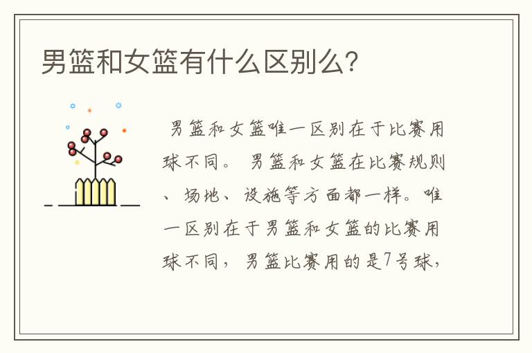 男篮和女篮有什么区别么?
