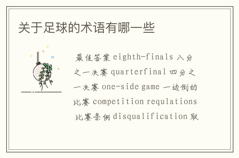 关于足球的术语有哪一些