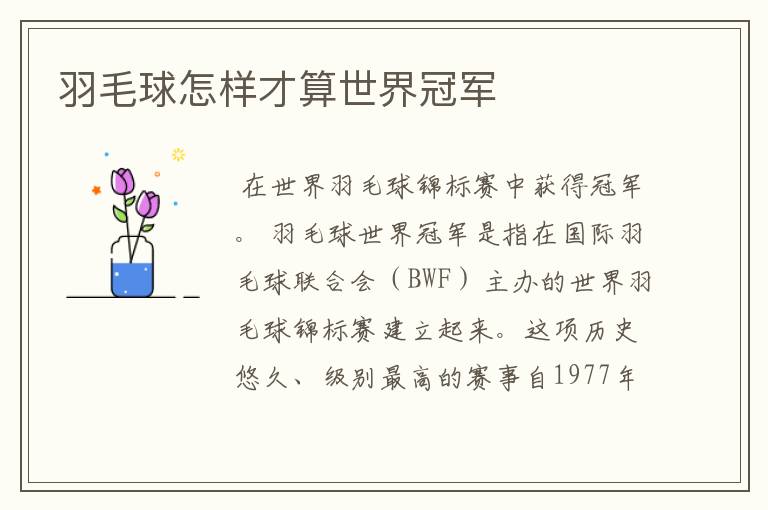 羽毛球怎样才算世界冠军