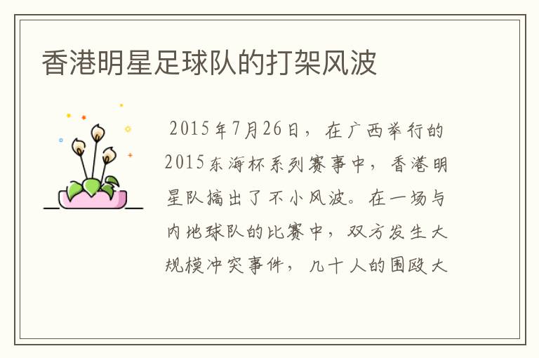 香港明星足球队的打架风波
