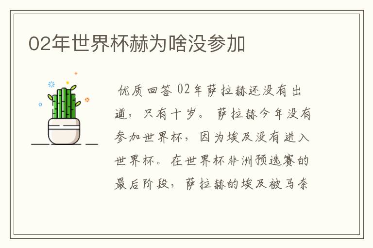 02年世界杯赫为啥没参加