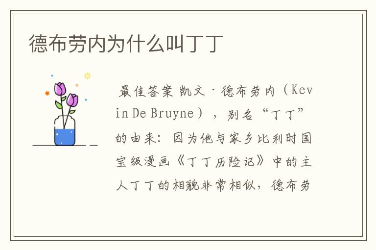 德布劳内为什么叫丁丁