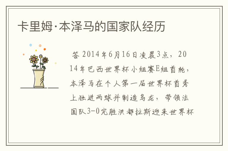 卡里姆·本泽马的国家队经历