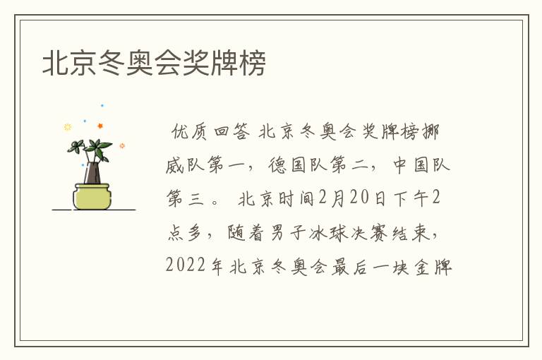 北京冬奥会奖牌榜