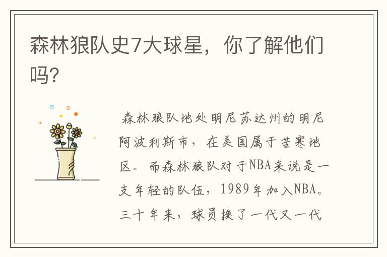 森林狼队史7大球星,你了解他们吗?