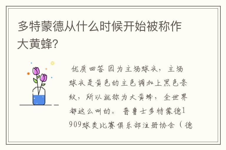 多特蒙德从什么时候开始被称作大黄蜂?
