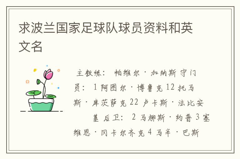 求波兰国家足球队球员资料和英文名