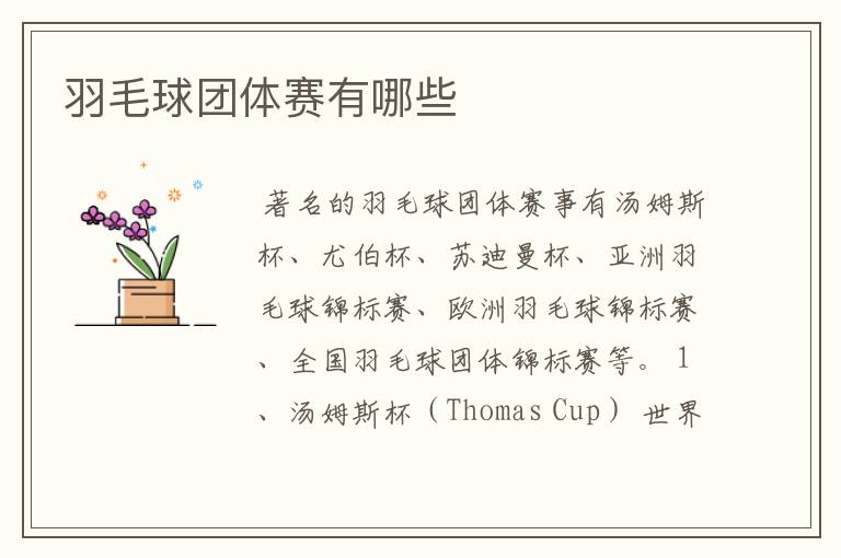 羽毛球团体赛有哪些
