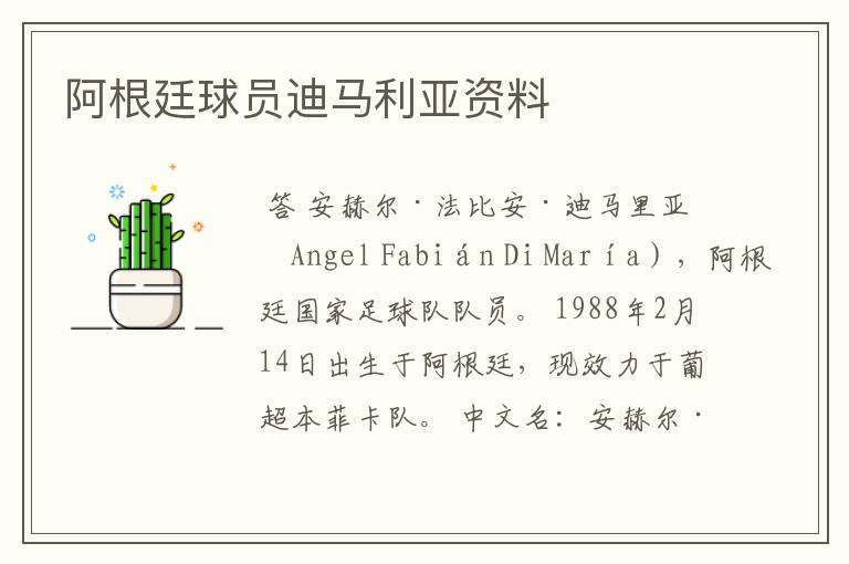 阿根廷球员迪马利亚资料