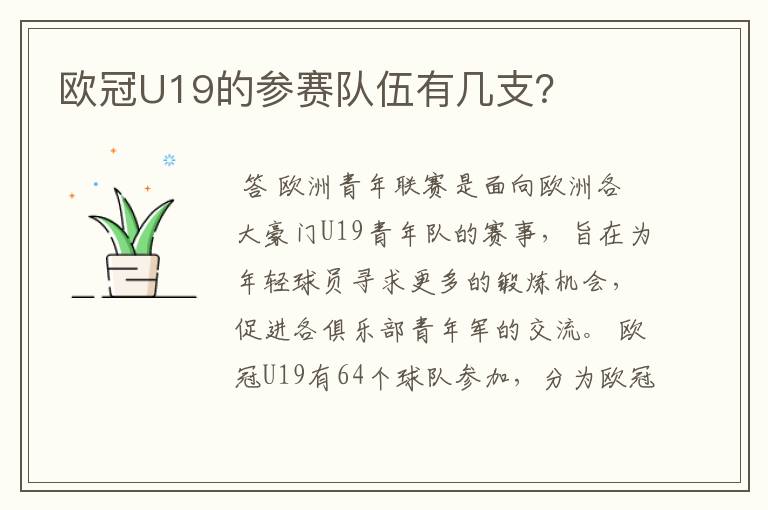 欧冠U19的参赛队伍有几支?