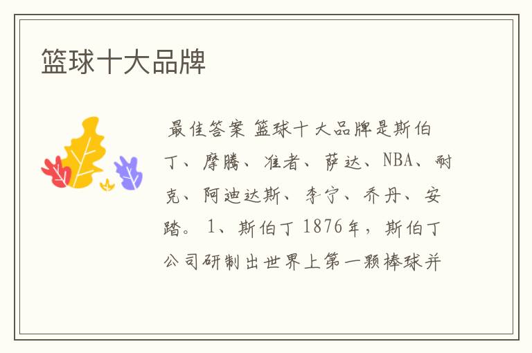 篮球十大品牌