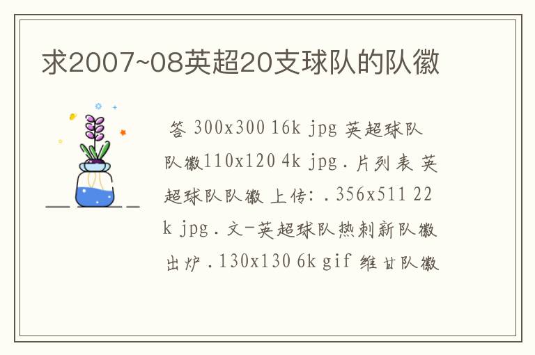 求2007~08英超20支球队的队徽