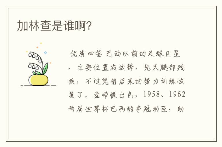加林查是谁啊?