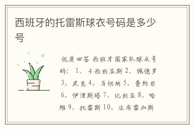 西班牙的托雷斯球衣号码是多少号
