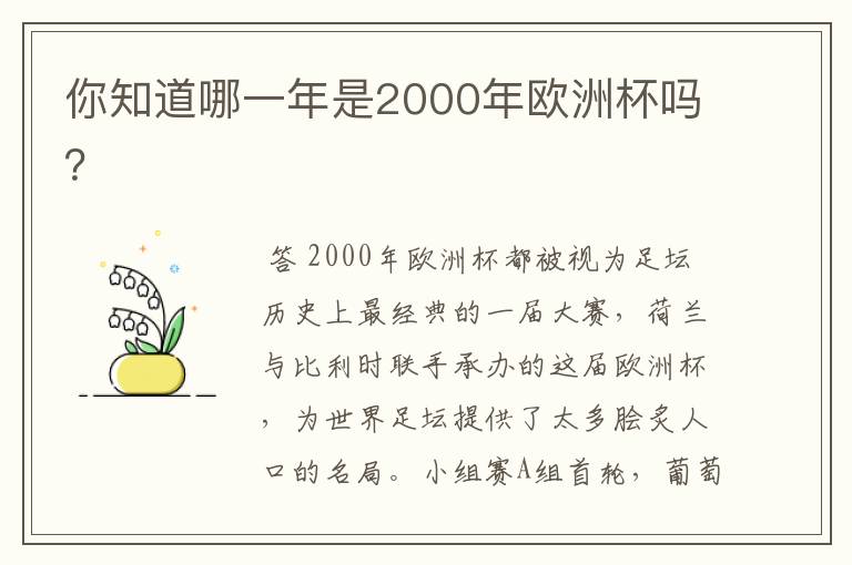 你知道哪一年是2000年欧洲杯吗?
