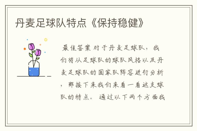 丹麦足球队特点《保持稳健》