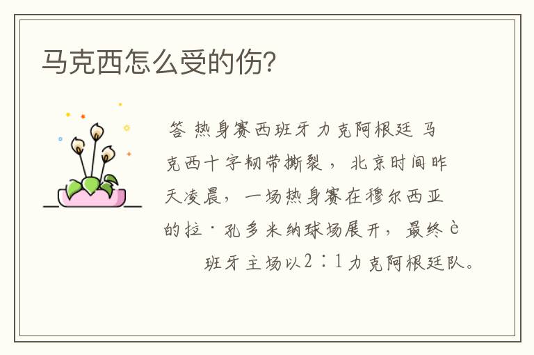 马克西怎么受的伤?