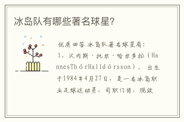 冰岛队有哪些著名球星?