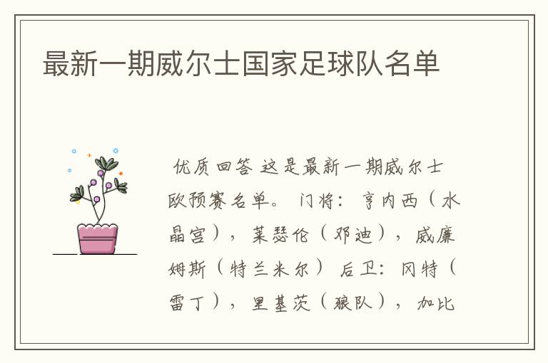 最新一期威尔士国家足球队名单