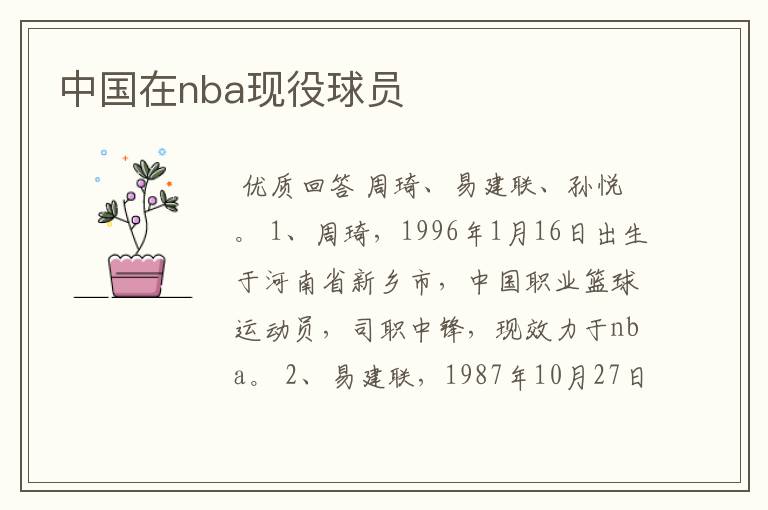 中国在nba现役球员