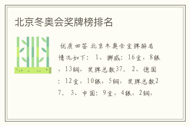 北京冬奥会奖牌榜排名